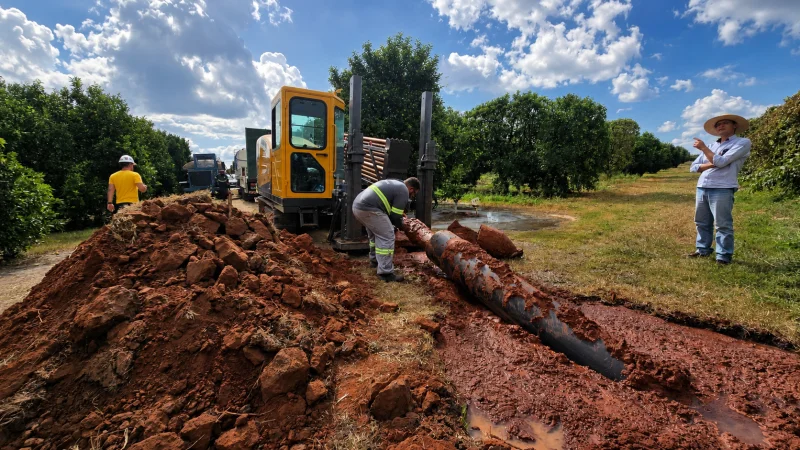 gestão de equipes técnicas
